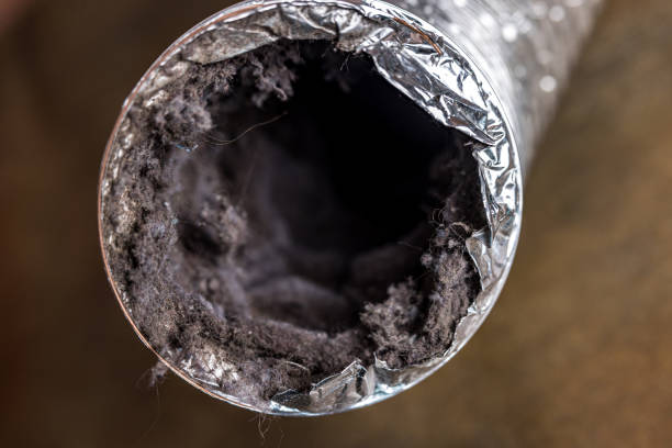 Best Best Air Duct Cleaning Company  in Savanna, IL