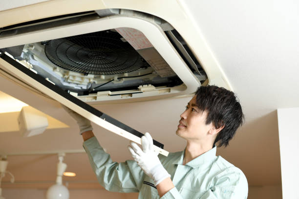 Best Affordable Air Duct Cleaning  in Savanna, IL